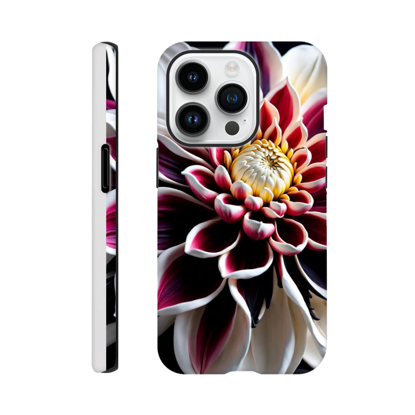 7e79ee62-411b-4740-ba1c-5516751c41b1